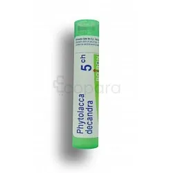 BOIRON PHYTOLACCA DECAND 5CH TUBE