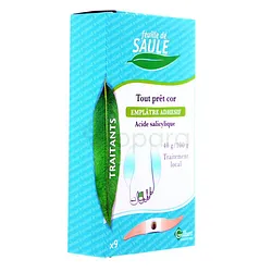 GILBERT FEUILLE DE SAULE CORICIDE EMPLATRES FDS BOITE DE 9