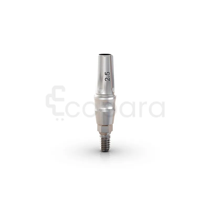 ANATOMIQUE CLICK EXACT 3.3*6*2.5MM PARTIES SECONDAIRE GM REF 114.574 