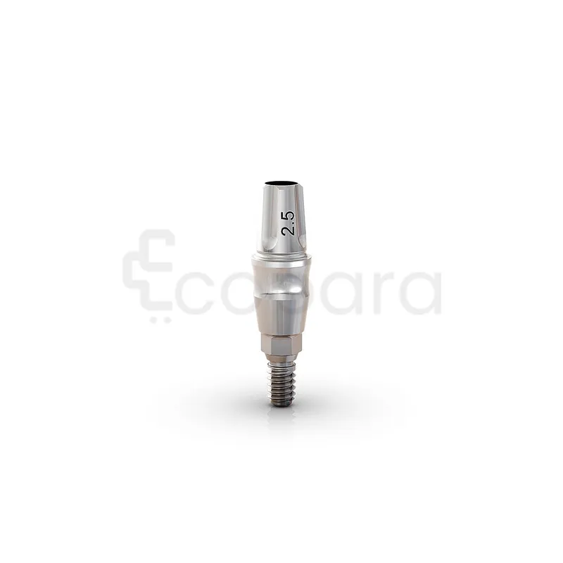 ANATOMIQUE CLICK EXACT 3.3*6*5.5MM PARTIES SECONDAIRE GM REF 114.577 