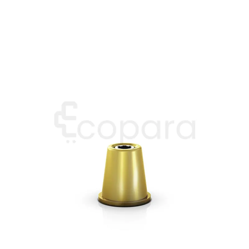 HYBRIDE À UN TEMPS CONIQUE VISSÉ MICRO NEO D 4.8MM COIFFES REF 118331