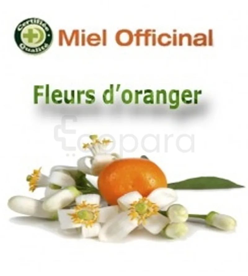 MIEL OFFICINAL FLEURS D'ORANGER 250G
