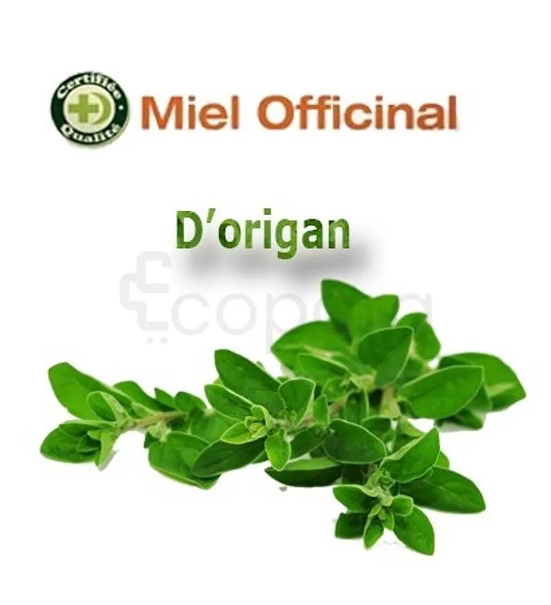 MIEL OFFICINAL ORIGAN ZAATAR 1KG
