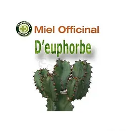 MIEL OFFICINAL EUPHORBE DAGHMOUS 500G