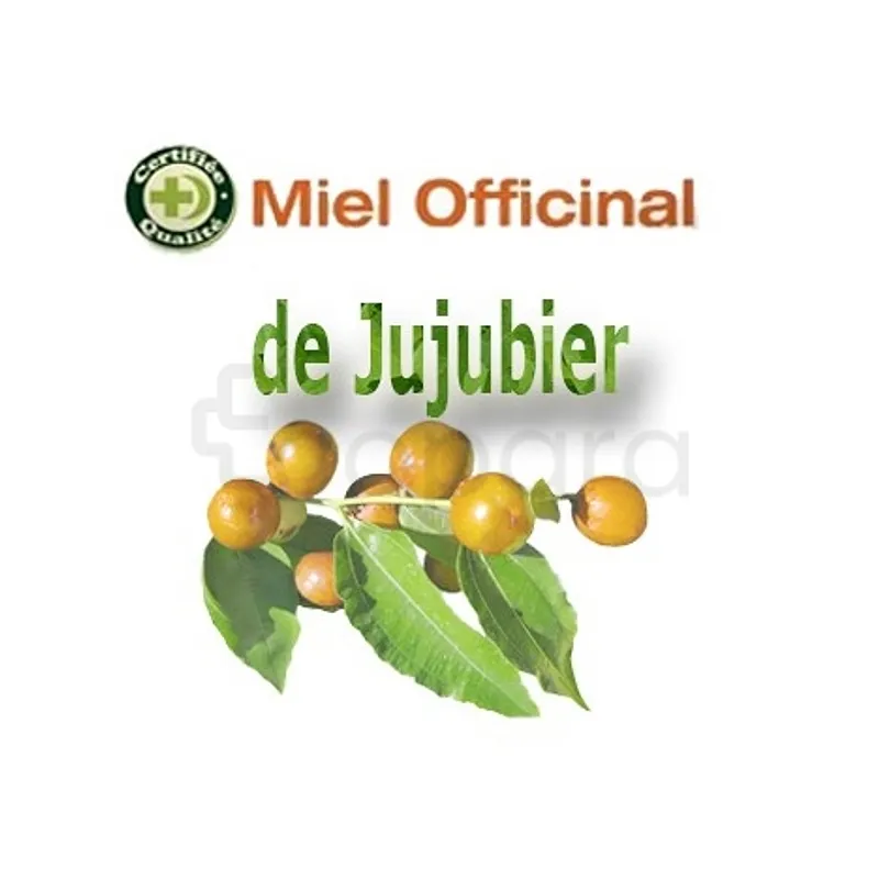 MIEL OFFICINAL JUJUBIER 250G