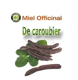 MIEL OFFICINAL CAROUBIER 250G