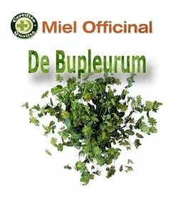 MIEL OFFICINAL BUPLEURUM ZANDAZ 1KG