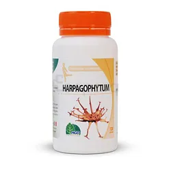 MGD HARPAGOPHYTUM BOITE DE 200 GELULES