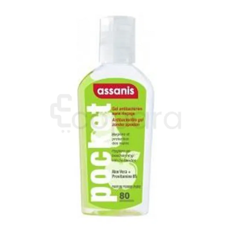 ASSANIS GEL ANTIBACTERIEN POMME POIRE POCKET 80ML