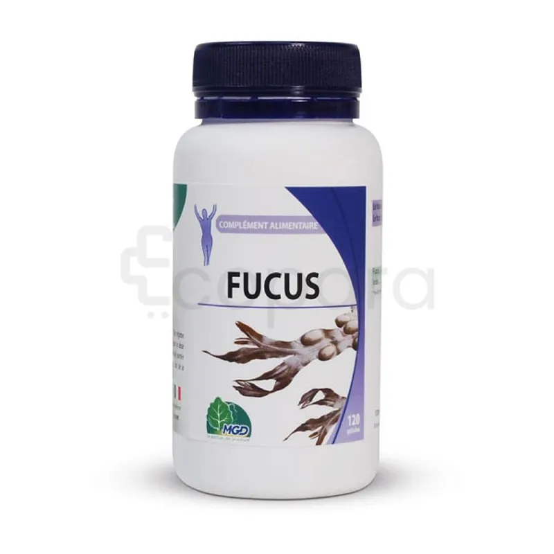 MGD FUCUS BOITE DE 120 GELULES