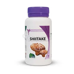 MGD SHIITAKE BOITE DE 120 GELULES