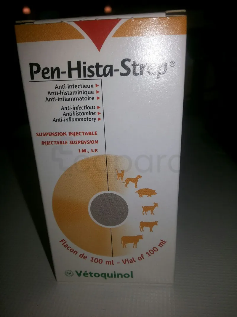 PENI HISTA STREP 100ML INJECTABLE