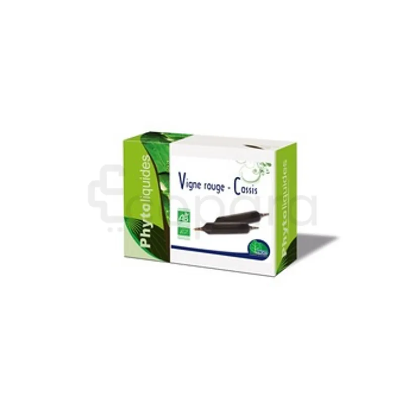 MGD BIO VIGNE ROUGE-CASSIS BOITE DE 10 AMPOULES