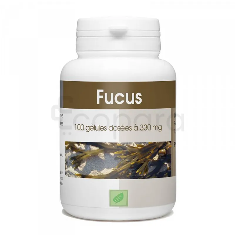FUCUS 300MG BOITE DE 100 GELULES