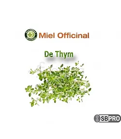 MIEL OFFICINAL THYM 250G