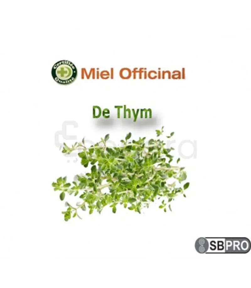 MIEL OFFICINAL THYM 250G
