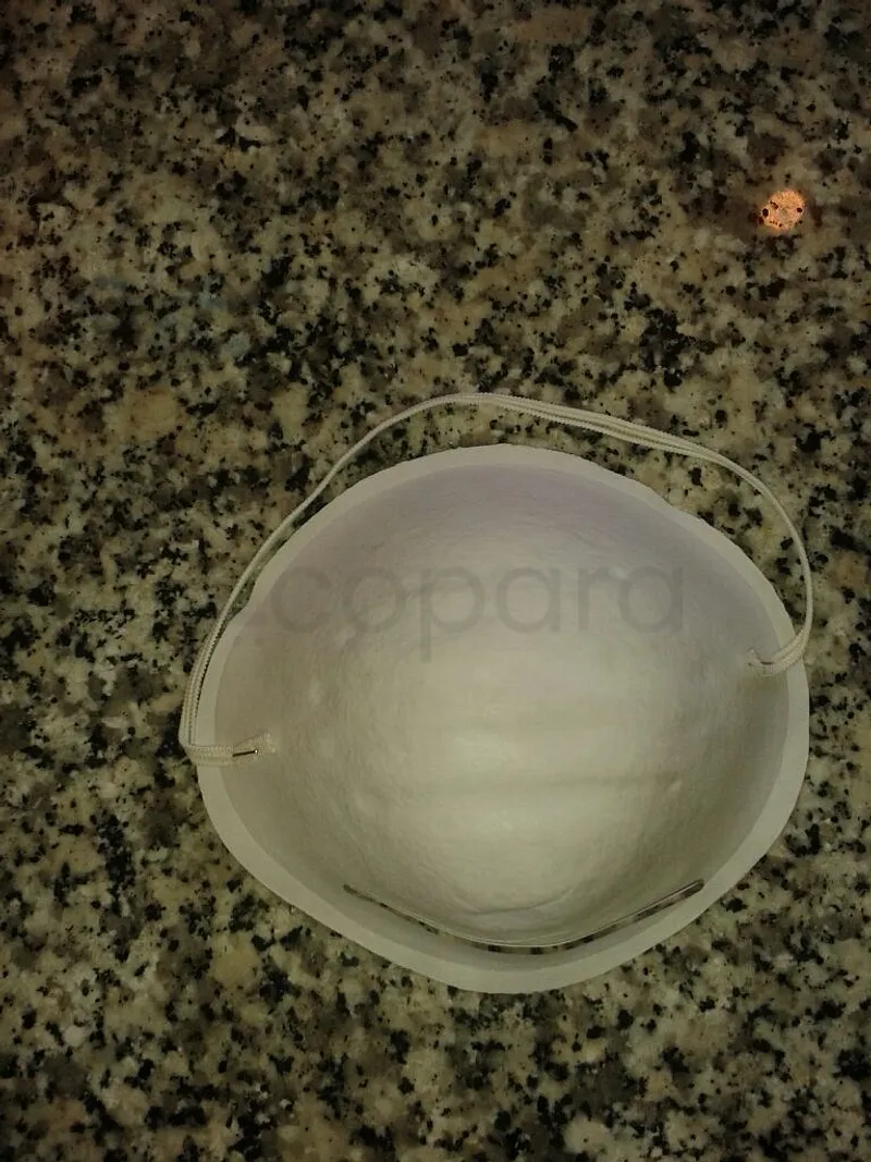 MASQUE EN COQUILLE