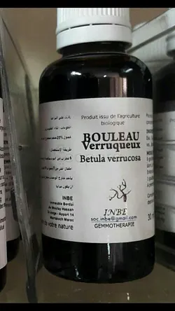 INBE BOULEAU VERRUQUEUX 30ML