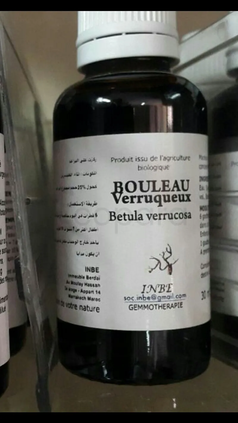 INBE BOULEAU VERRUQUEUX 30ML