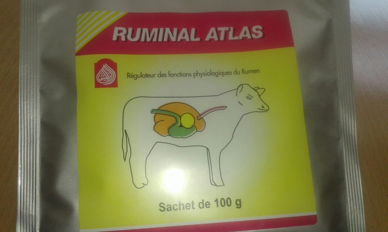 RUMINAL ATLAS 100G BOITE DE 1 SACHET