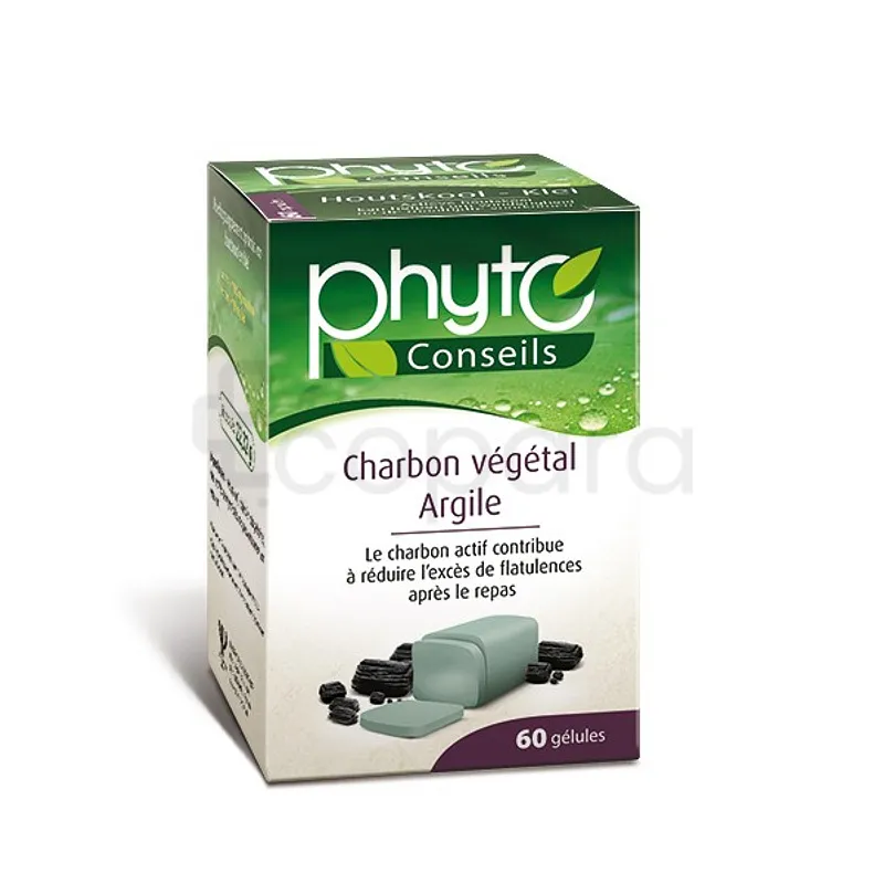 PHYTO CONSEILS CHARBON VEGETAL ARGILE BOITE DE 60 GELULES
