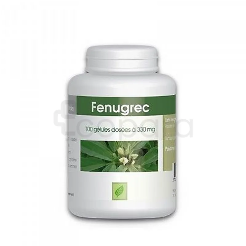 GPH FENUGREC 330MG B100 GELULES 