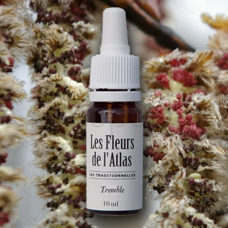 LES FLEURS DE L'ATLAS TREMBLE 10ML