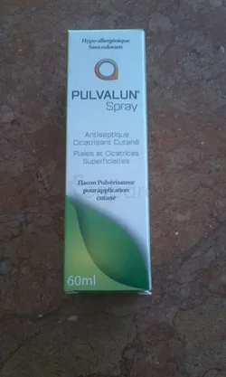 PULVALUN SPRAY ANTISEPTIQUE CICATRISANT CUTANE 60ML