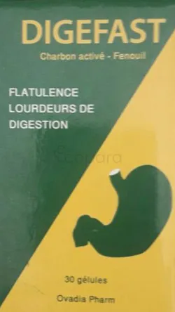 DIGESFAST CHARBON ACTIVE FENOUIL FLATULENCE LOURDEURS DE DIGESTION BOITE DE 30 GELULES