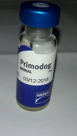 PRIMODOG FLACON DOSE BOITE DE 1