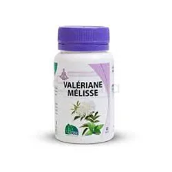 MGD VALERIANE MELISSE BOITE DE 60 GELULES