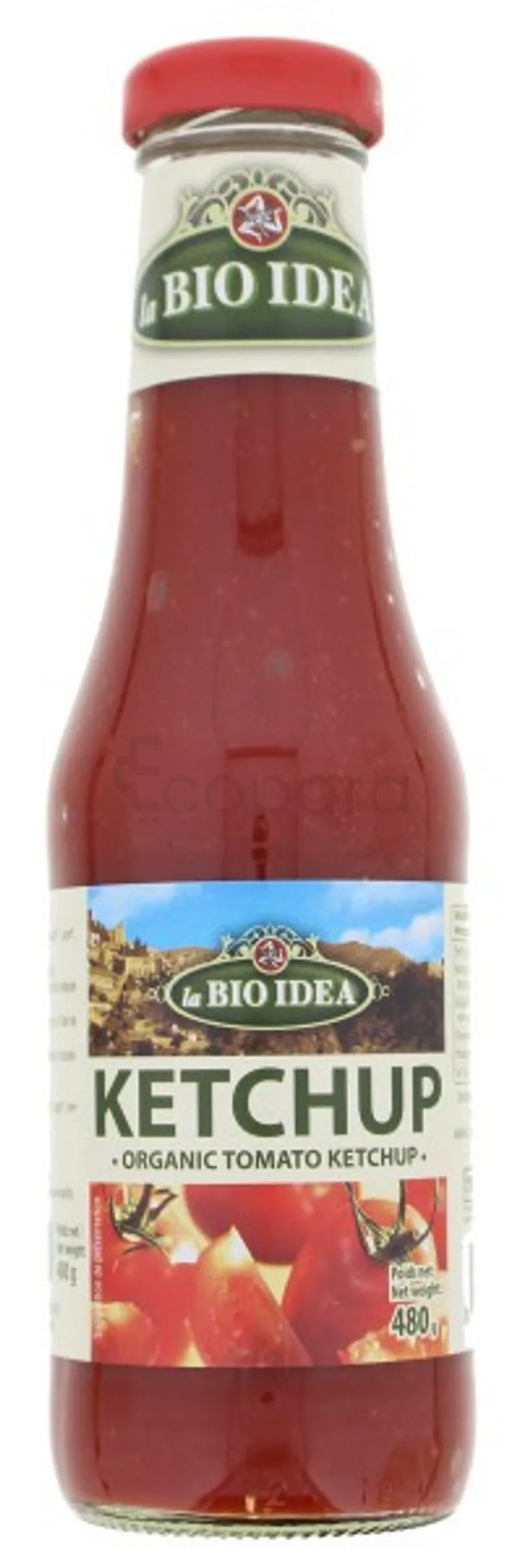 LA BIO IDEA KETCHUP 480G