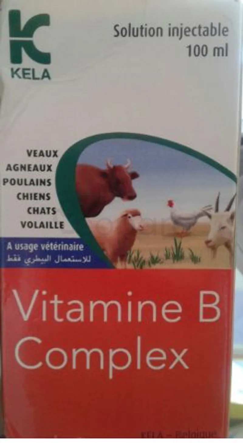 VITAMINE B COMPLEX SOLUTION INJECTABLE 100ML