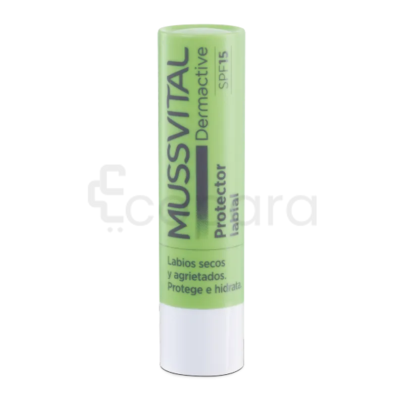 MUSSVITAL DERMACTIVE BAUME STICK LABIAL PROTECTEUR NATUREL SPF15 4G