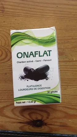 ONAFLAT CHARBON ACTIVE BOITE DE 30 GELULES