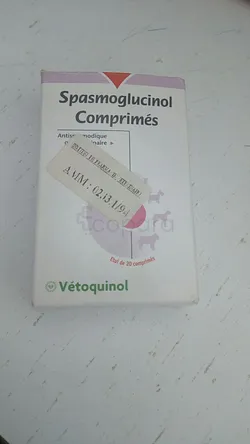 SPASMOGLUCINOL BOITE DE 20 COMPRIMES