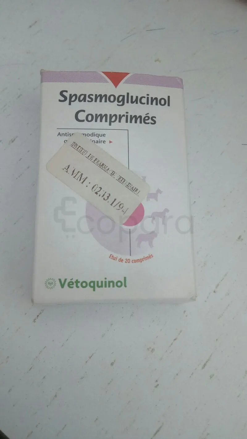 SPASMOGLUCINOL BOITE DE 20 COMPRIMES