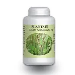 GPH PLANTAIN 250MG BOITE DE 200 GELULES