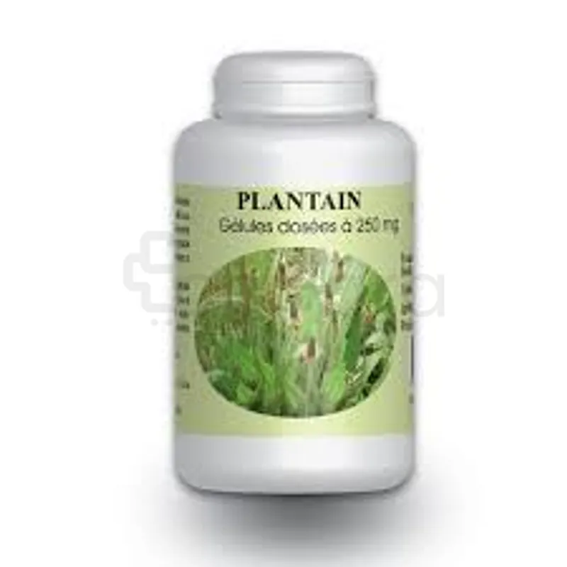 GPH PLANTAIN 250MG BOITE DE 200 GELULES
