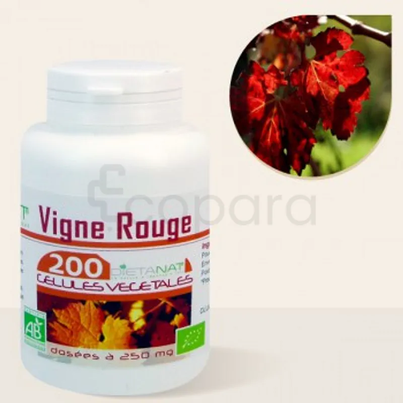 GPH VIGNE ROUGE BIO 250MG BOITE DE 200 GELULES