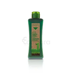 BIOKERA SHAMPOOING SPECIFIQUE CHEVEUX GRAS 1L
