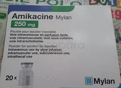 AMIKACINE MYLAN 250MG BOITE DE 20 INJECTABLE
