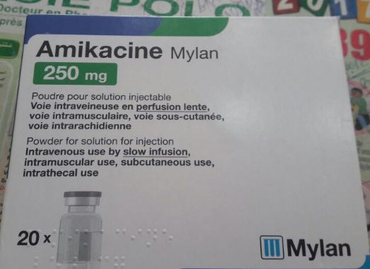 AMIKACINE MYLAN 250MG BOITE DE 20 INJECTABLE