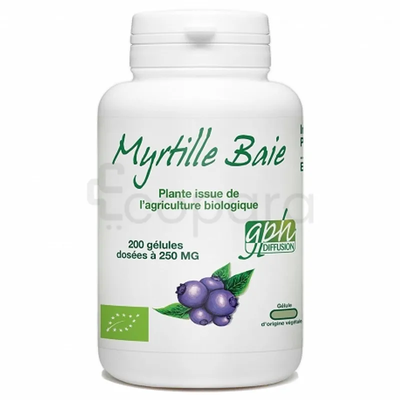 GPH MYRTILLE BAIE 250MG BOITE DE 200 GELULES