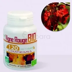 GPH VIGNE ROUGE BIO 400MG BOITE DE 120 COMPRIMES