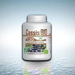 GPH CASSIS BIO 400MG BOITE DE 120 COMPRIMES