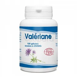 GPH VALERIANE 250MG BOITE DE 100 GELULES