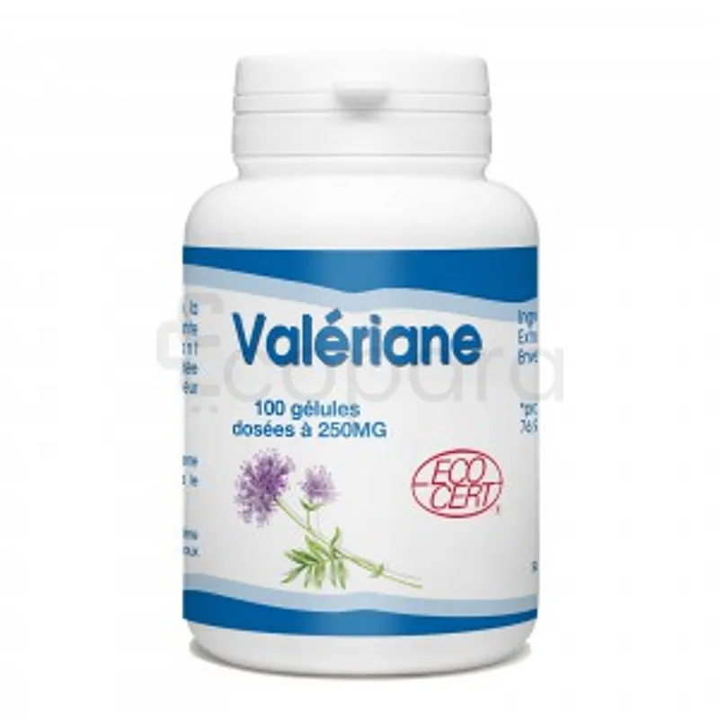 GPH VALERIANE 250MG BOITE DE 100 GELULES