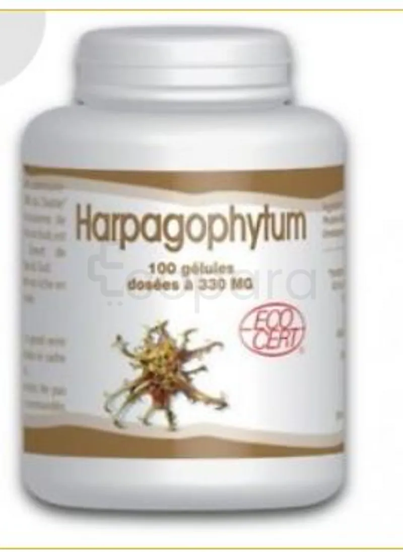 GPH HARPAGOPHYTUM 330MG BOITE DE 100 GELULES