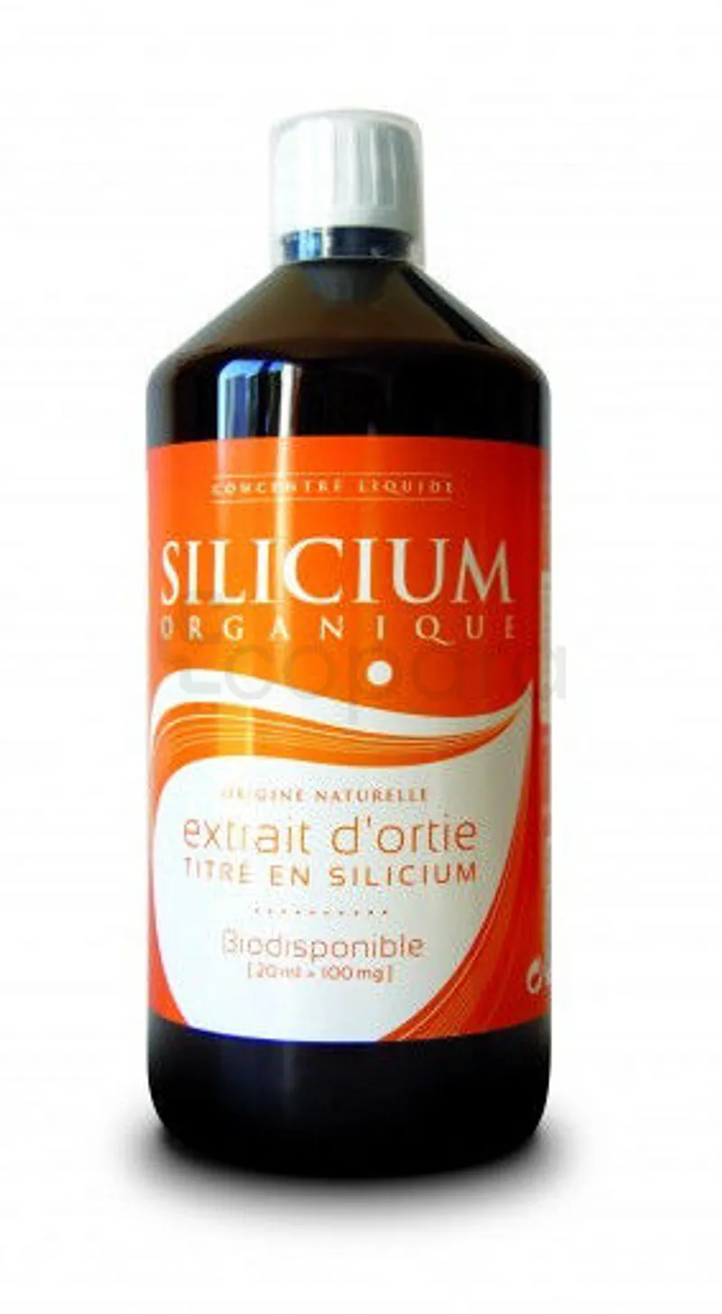 PROTIFAST SILICIUM ORGANIQUE EXTRAIT D'ORTIE 20ML/100MG 1L